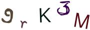 Sary CAPTCHA