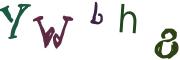 CAPTCHA dell'immagine