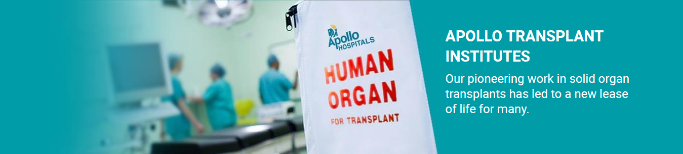 The Busiest Solid Organ Transplant Progr...