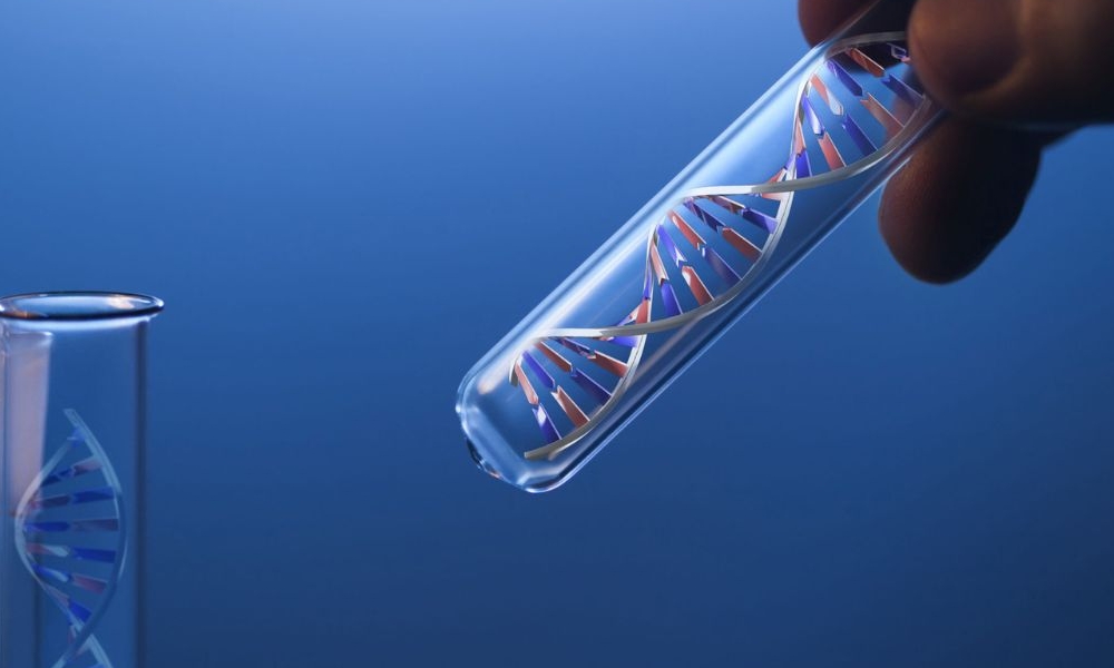 What is Genetic Testing & Why is it Done? What is Genetic Testing & Why is it Done?