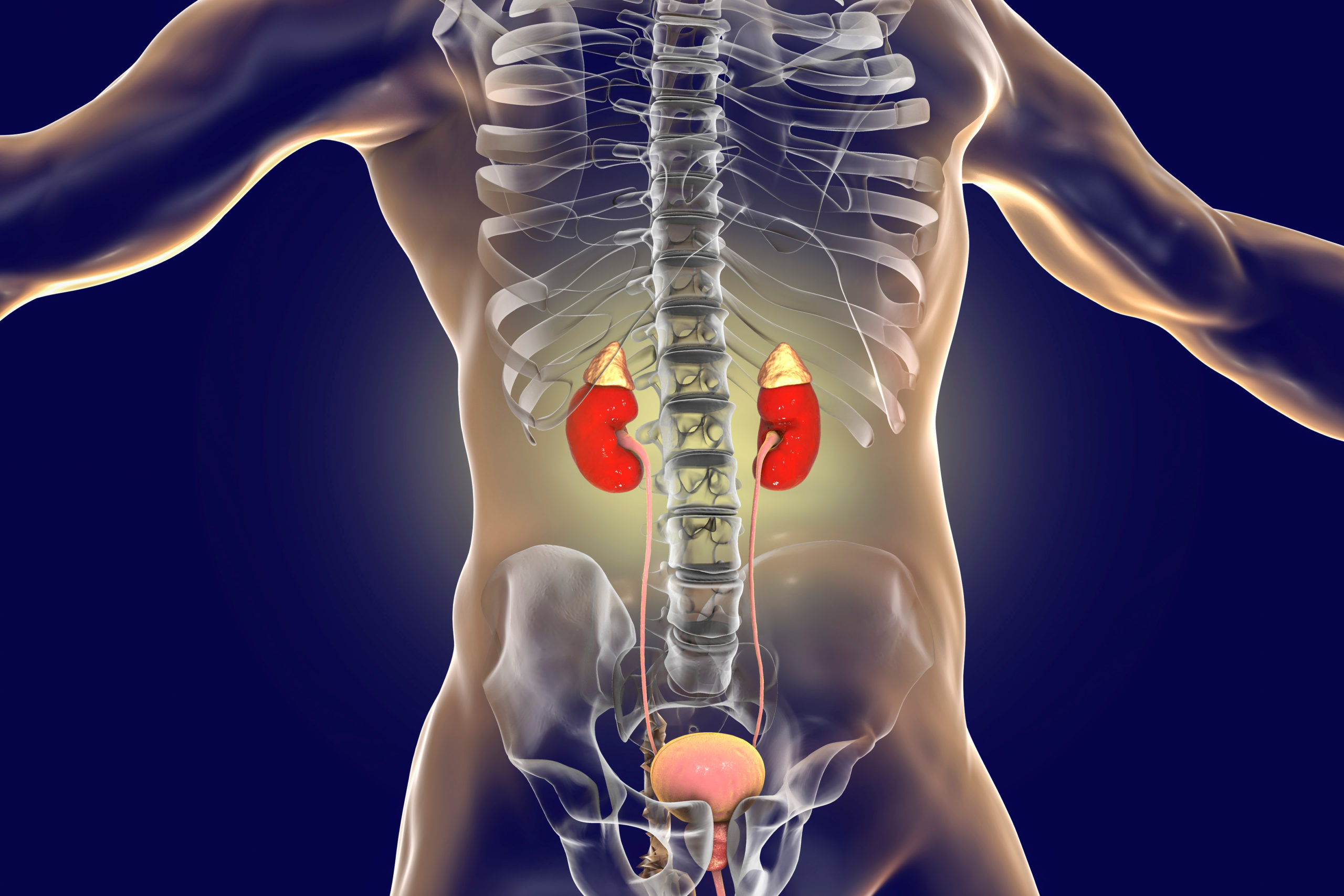 Adrenalectomy Adrenalectomy