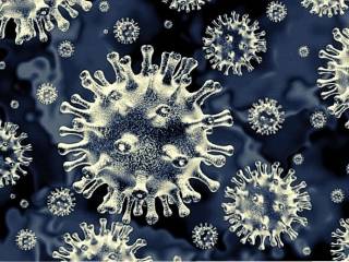 Difference between the molecular test and the RTPCR test. Get the facts from Apollo experts.