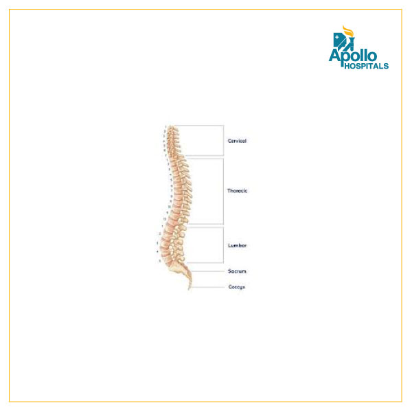 How is Someone’s Quality of Life Affected by Spine Surgery?