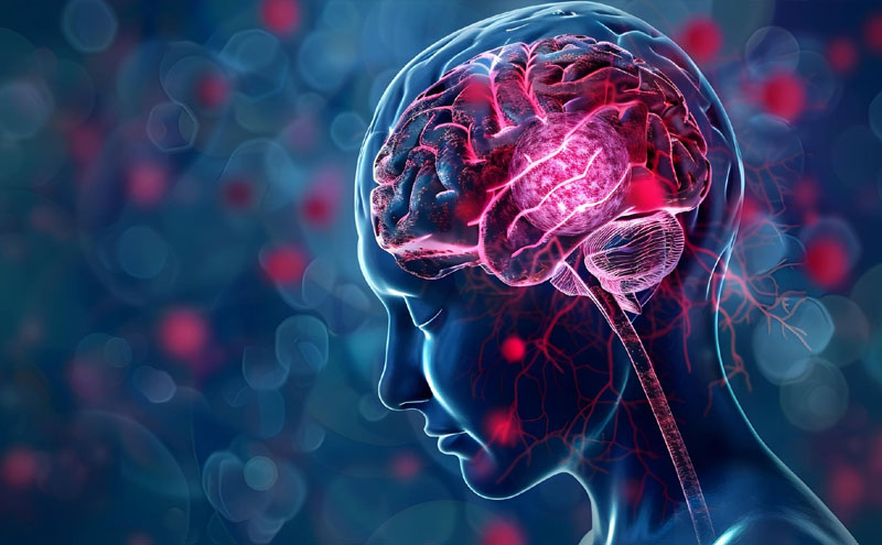 Brain Cancer – The Final Frontier