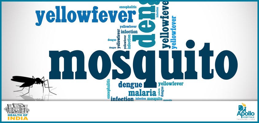 Everything You Need to Know About Chikungunya