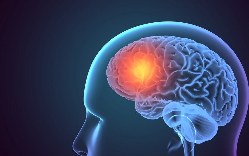 Hypothalamus: Symptoms, Causes and Treatment