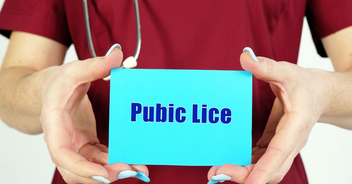 Pubic Lice – Symptoms, risk Factors And Treatment