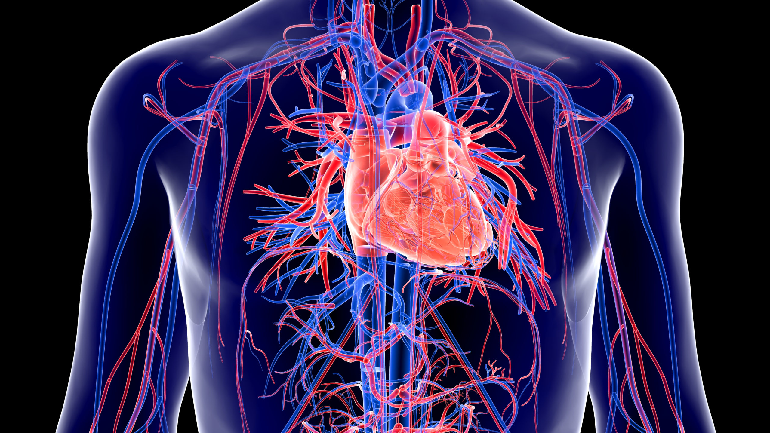Transposition of Great Arteries
