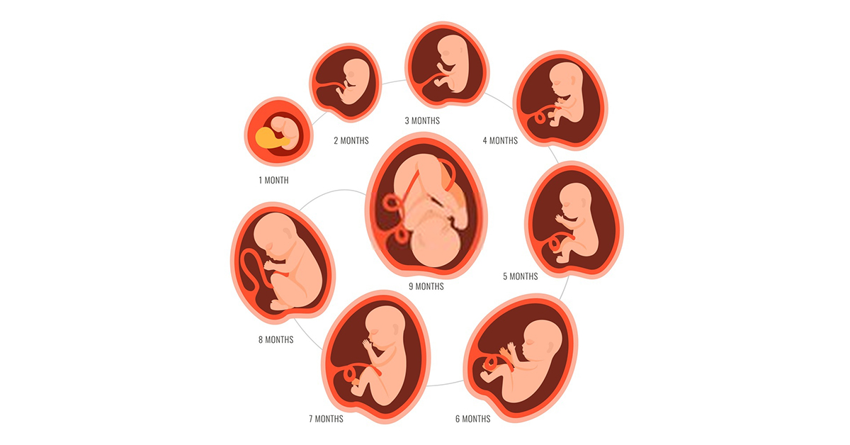 All You Need to Know About Foetal Movements
