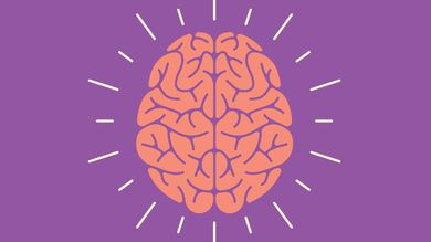 Overview of Epilepsy Management: Insights and Decision-Making