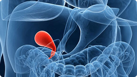 Early Detection is Key to Curing Gallbladder Cancer