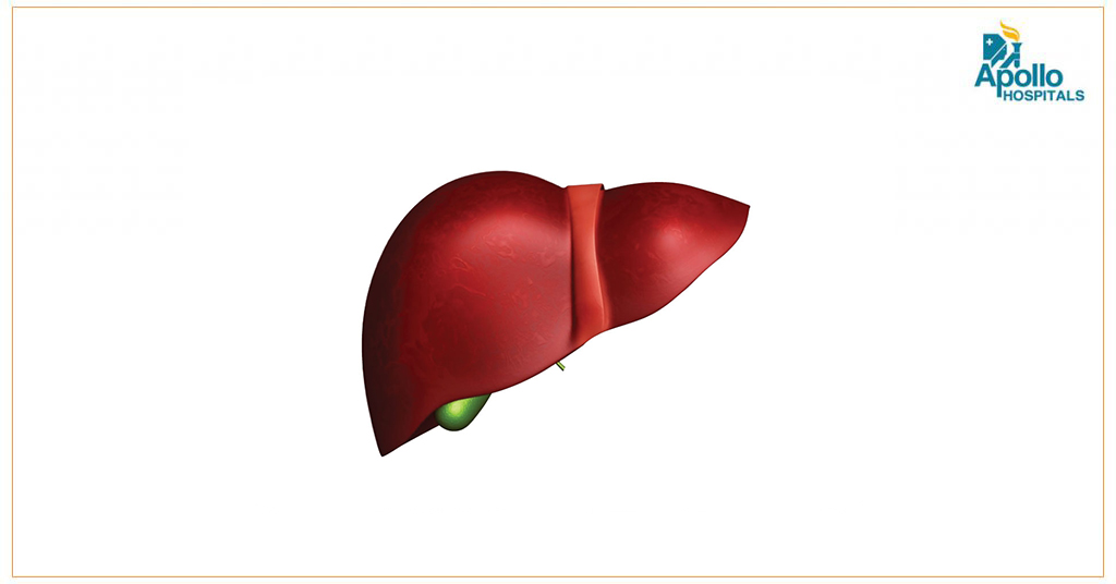 Life extension with liver transplant