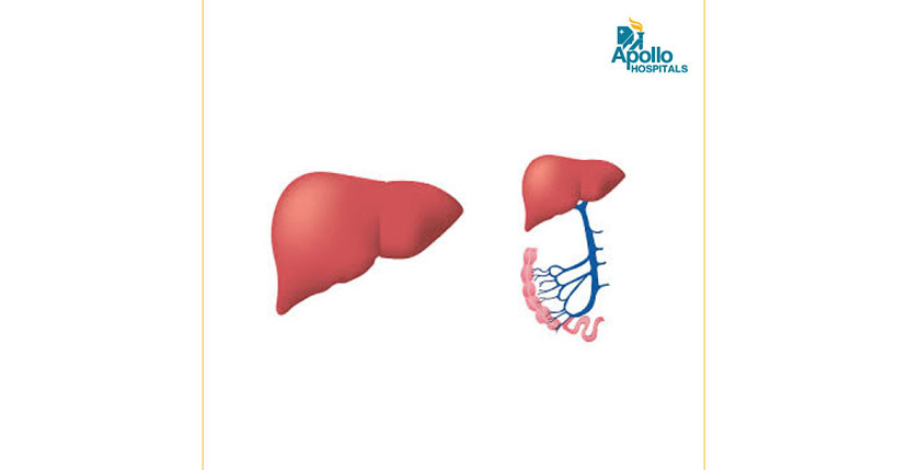 Hepatitis: Elimination through Education