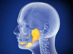 Decoding the Complexity of Salivary Gland Tumors