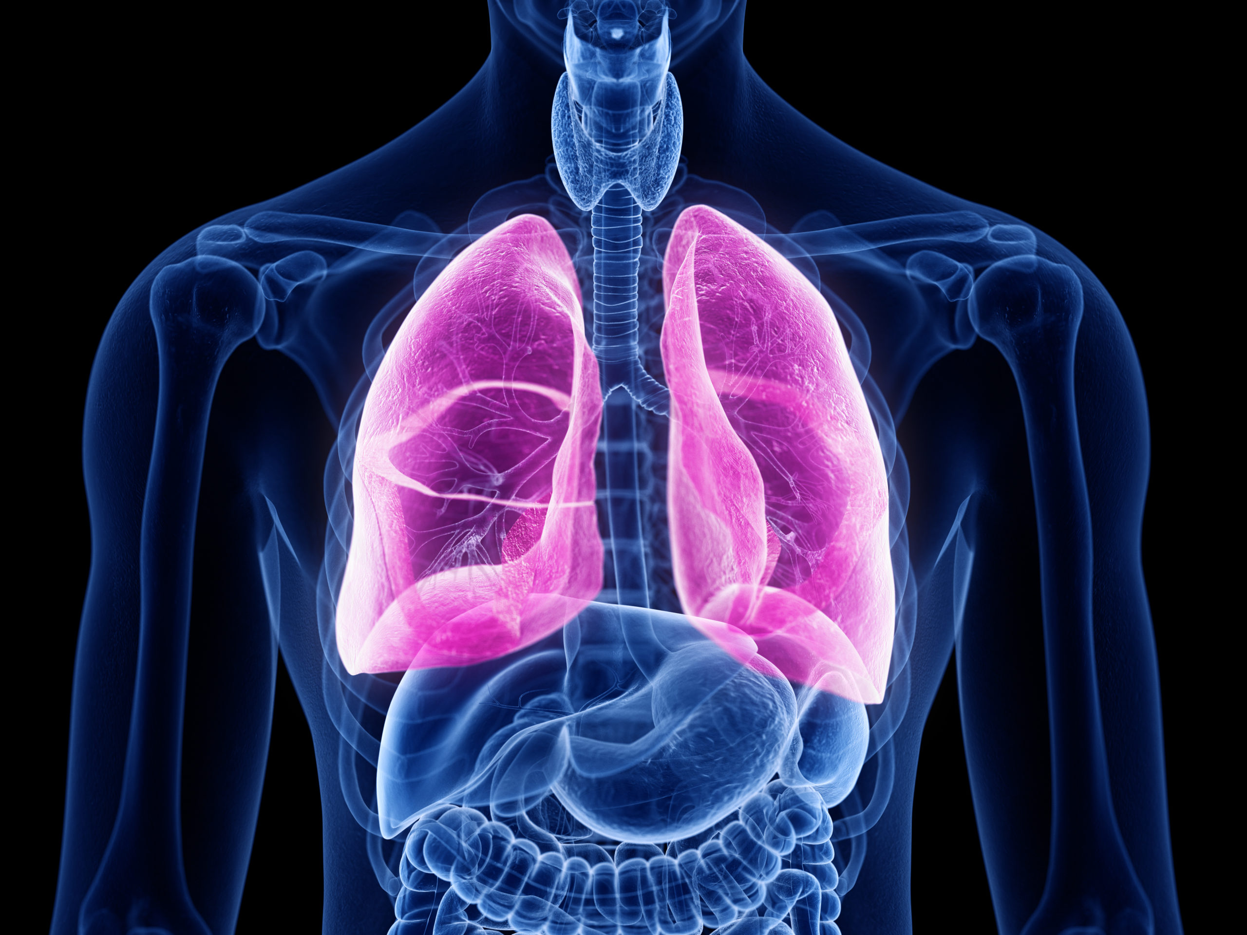 Everything You Need to Know about Pulmonary Fibrosis