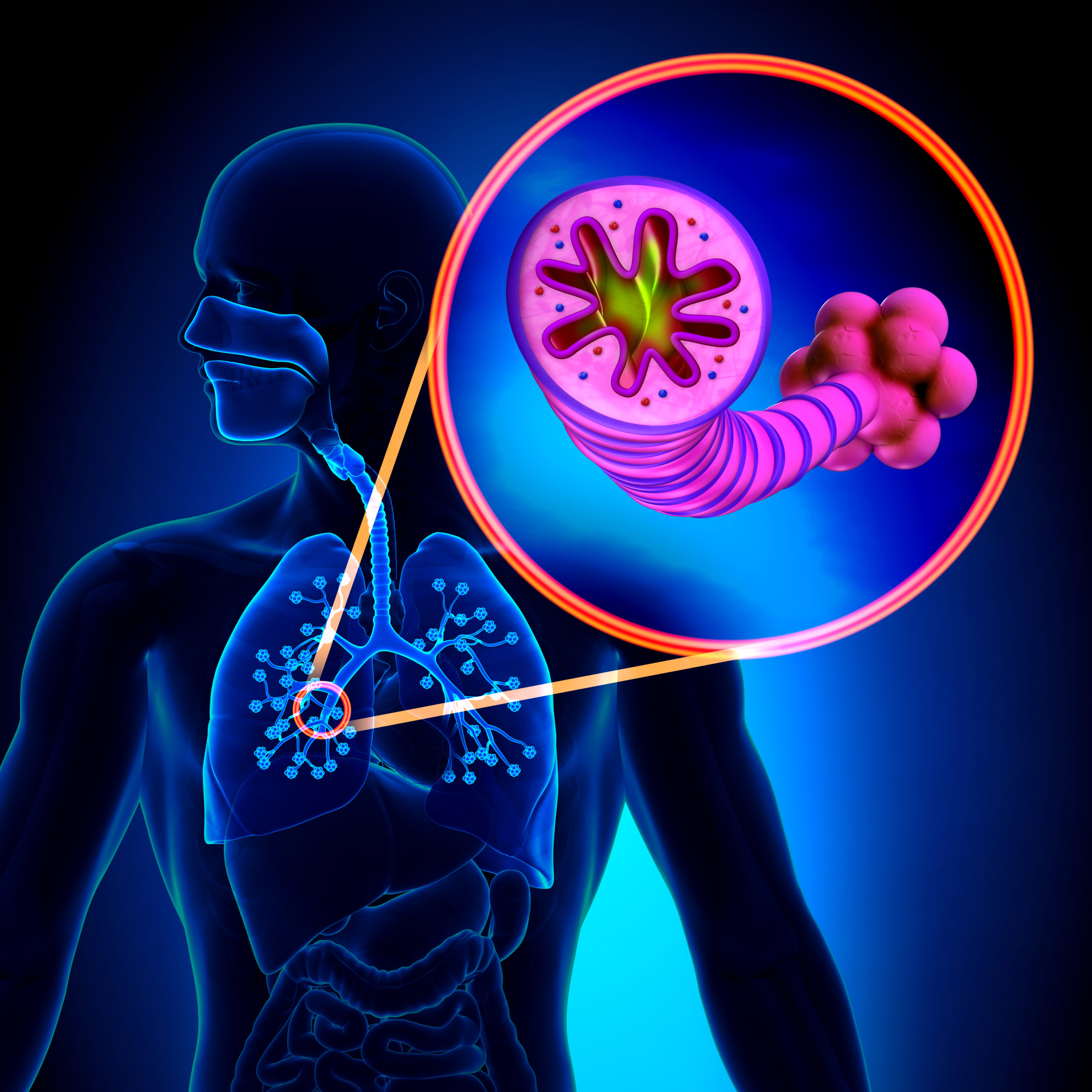 What Is COPD? How To Prevent It? What Is COPD? How To Prevent It?