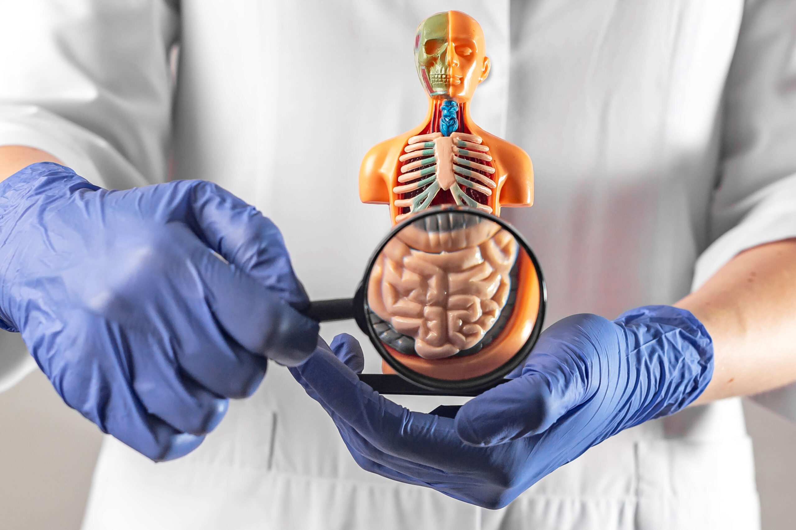 Types of Neuroendocrine Tumors: What You Should Know