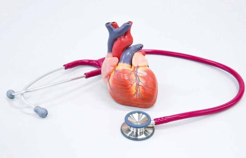 use-heart-to-prioritise-heart-health-1024x658