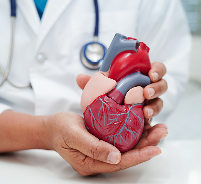 cardiac-sciences