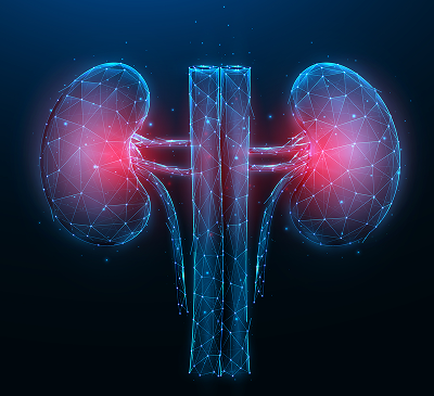 Nephrology & Urology