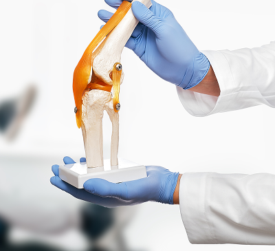 Orthopedics & Sports Medicine