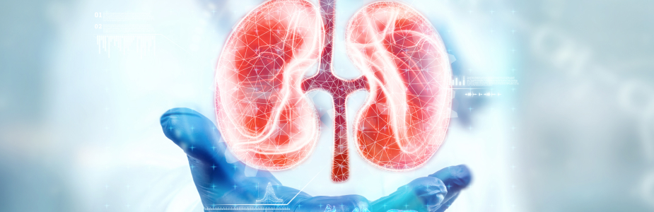 nephrology-urology.jpg