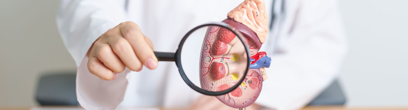 Adrenal Gland Tumors - Early Signs, Risk Factors, Diagnosis, and Treatment Explained