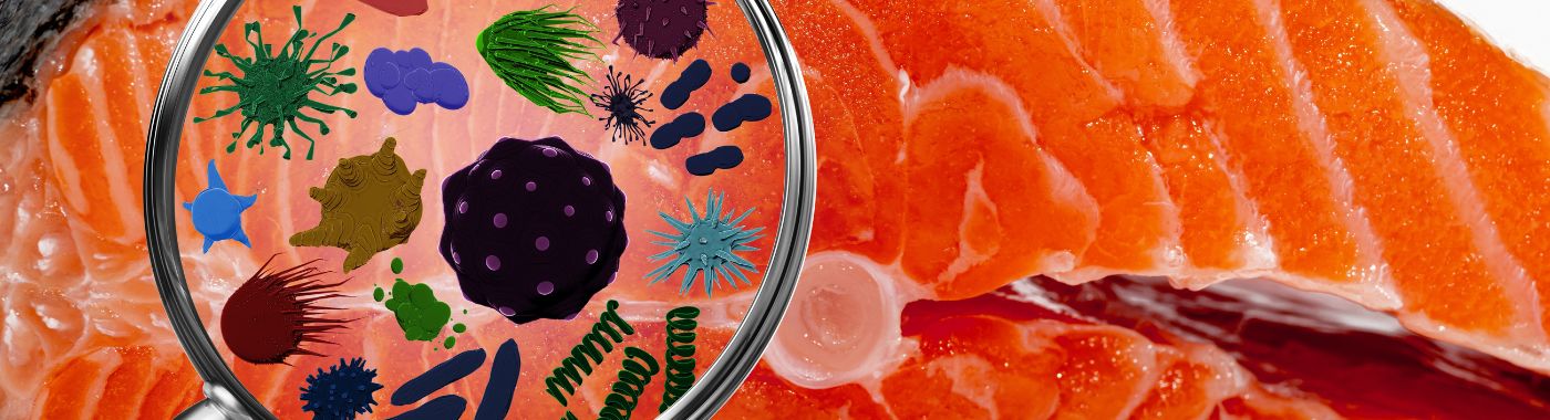 Alpha Gal Syndrome - Causes, Symptoms, Diagnosis, Treatment, and Prevention