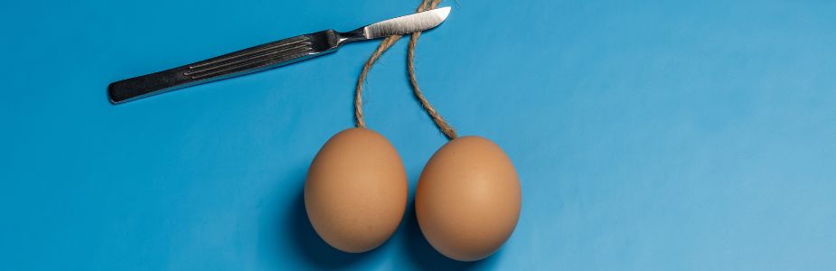 Andrology / Male-Fertility Surgery