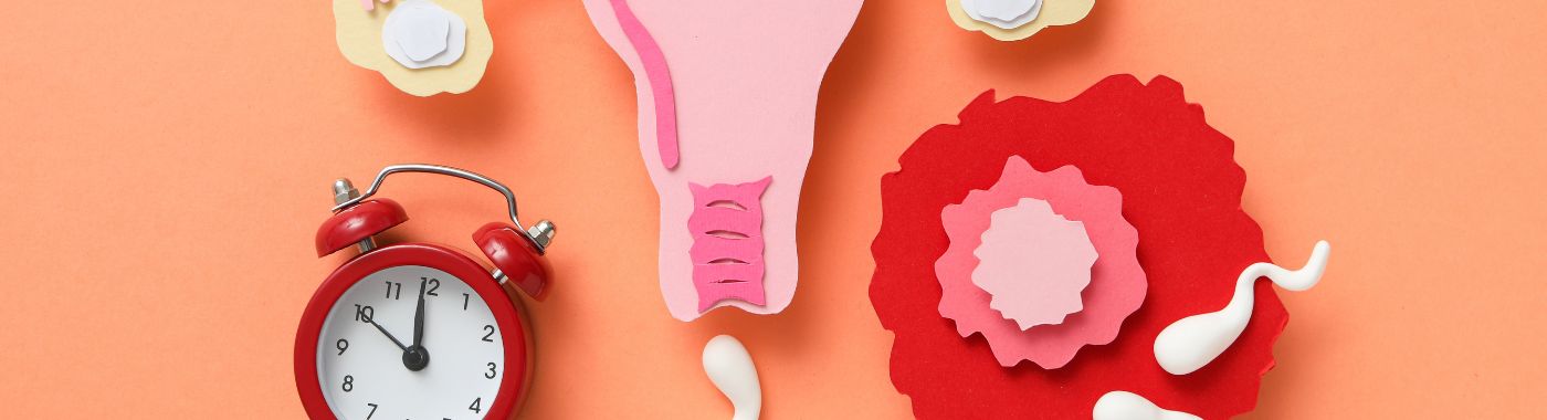 Anovulation - Causes, Symptoms, Diagnosis, Treatment, and Prevention