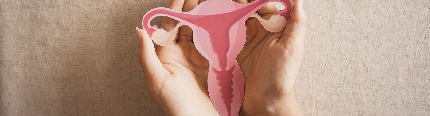 Arcuate Uterus - Causes, Symptoms, Diagnosis, Treatment, and Prevention