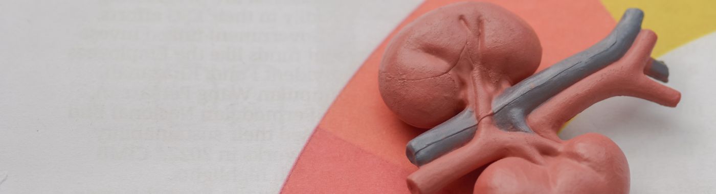 Azotemia - Causes, Symptoms, Diagnosis, Treatment, and Prevention