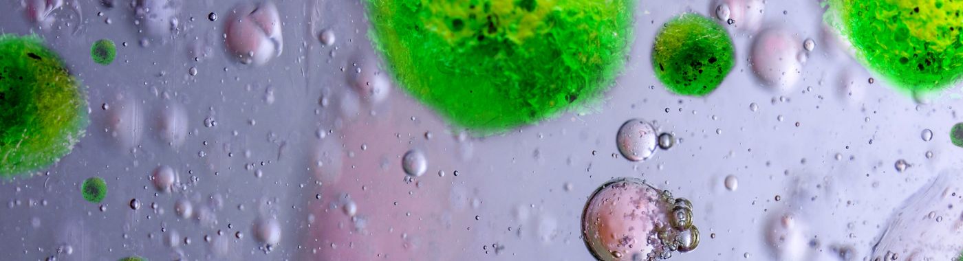 Bacterial Meningitis - Causes, Symptoms, Diagnosis, Treatment, and Prevention