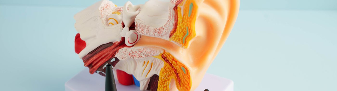 Bullous Myringitis - Causes, Symptoms, Diagnosis, Treatment, and Prevention