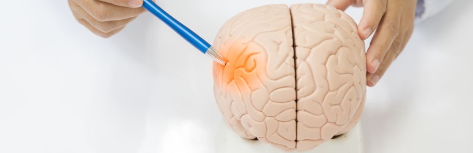 Cerebro-Vascular Surgery (Aneurysm Clipping, AVM Repair, Bypass)