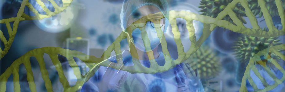 Functional / Motility / Diagnostic Tests