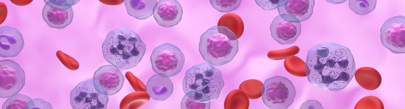 Hypogammaglobulinemia - Causes, Symptoms, Diagnosis, Treatment, and Prevention