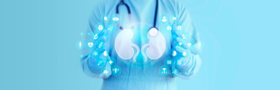 Kidney Transplantation