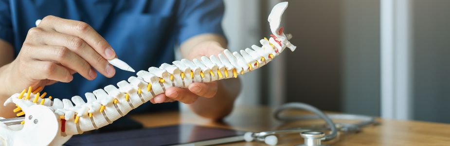 Laminectomy / Laminotomy / Decompression