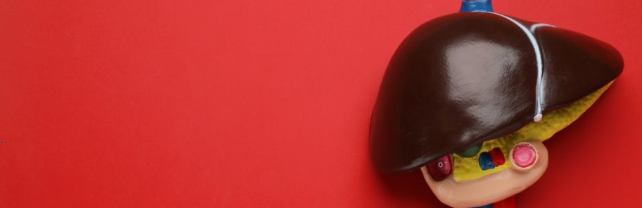 Liver / Biliary / Hepatology Support