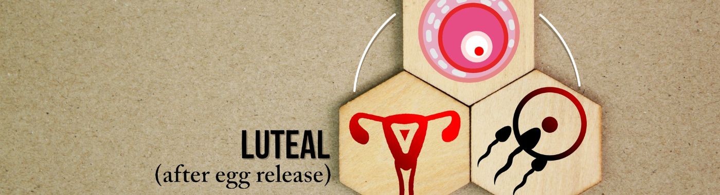 Luteal Phase Defect - Causes, Symptoms, Diagnosis, Treatment, and Prevention