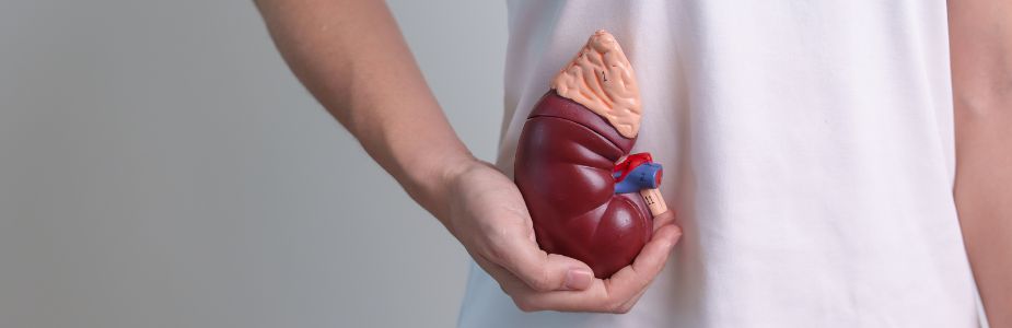 Radical / Partial Nephrectomy (Open/Laparoscopic/Robotic)