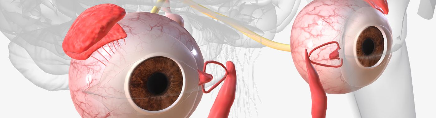 Scotoma - Causes, Symptoms, Diagnosis, Treatment, and Prevention