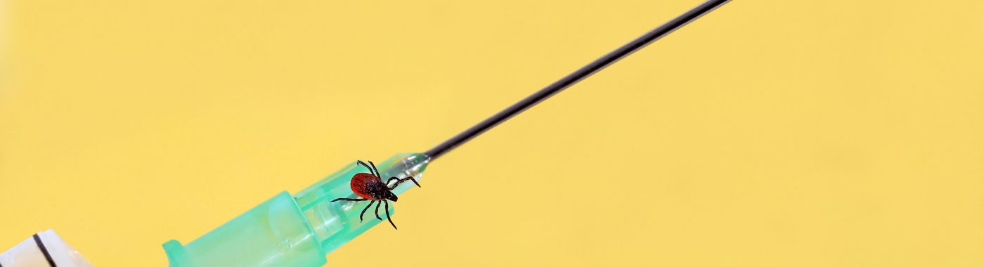 TBE - Causes, Symptoms, Diagnosis, Treatment, and Prevention