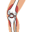 bone-and-joint-icon.png