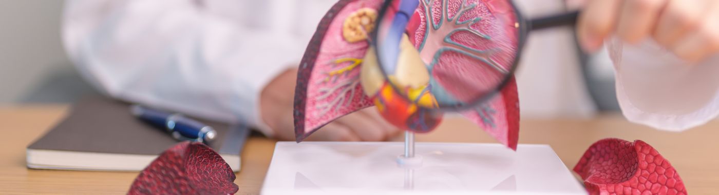 Bronchopulmonary Dysplasia - Causes, Symptoms, Diagnosis, Treatment, and Prevention