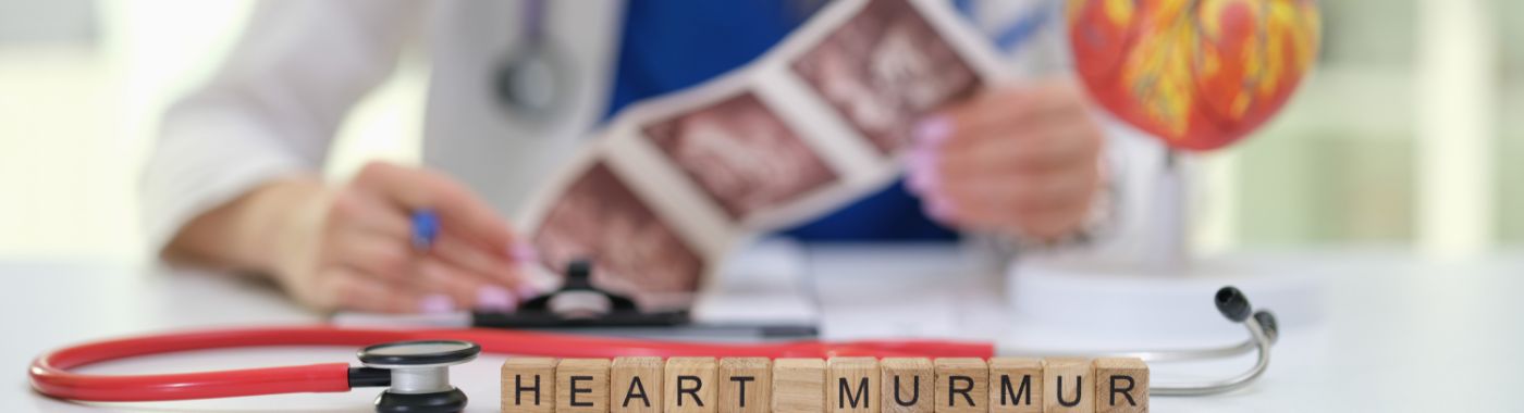 Heart Murmur - Causes, Symptoms, Diagnosis, Treatment, and Prevention