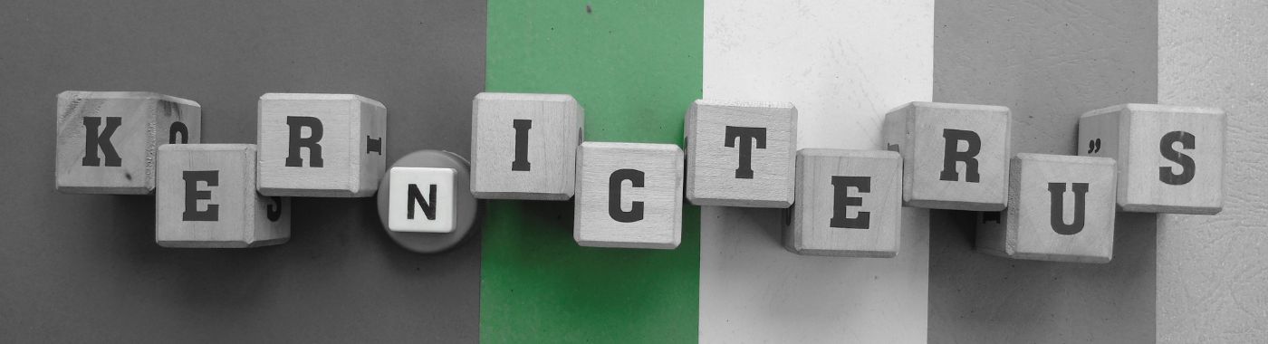 kernicte