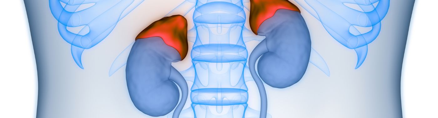 Waterhouse Friderichsen Syndrome - Causes, Symptoms, Diagnosis, Treatment, and Prevention