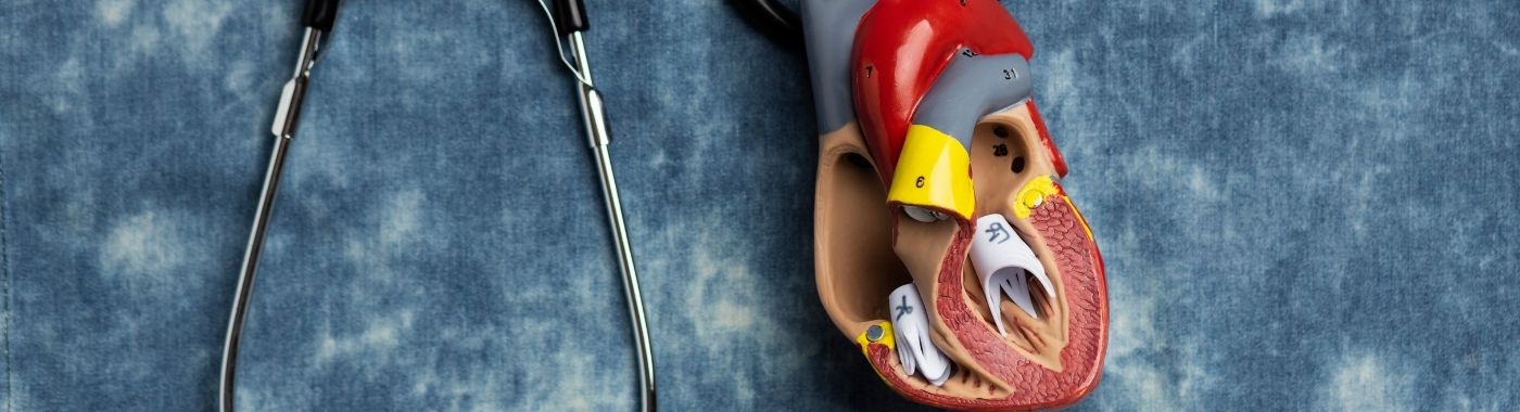 Acute Coronary Syndrome - Causes, Symptoms, Diagnosis, Treatment, and Prevention